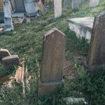Споменик Рајку Ђоловићу на Малопарачком гробљу у Горњој Добрињи (фото Бојан Радојичић)
