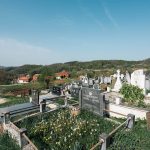 Гробље на потесу Стражара у Горњој Добрињи (фото Бојан Радојичић)