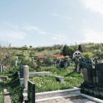 Гробље на потесу Стражара у Горњој Добрињи (фото Бојан Радојичић)