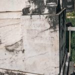 Споменик Сими А. Грујићу на гробљу на потесу Стражара у Горњој Добрињи (фото Бојан Радојичић)