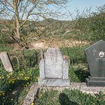 Споменик Петру Тодоровићу на гробљу на потесу Стражара у Горњој Добрињи (фото Бојан Радојичић)