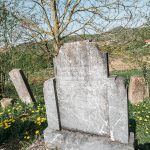 Споменик Петру Тодоровићу на гробљу на потесу Стражара у Горњој Добрињи (фото Бојан Радојичић)