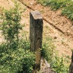 Крајпуташ Мићу Мићовићу у Горобиљу (фото Бојан Радојичић)