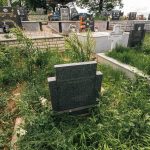 Гробље на потесу Слатина у Горобиљу (фото Бојан Радојичић)