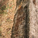 Споменик Стевану Димитријевићу на гробљу на потесу Слатина у Горобиљу (фото Бојан Радојичић)