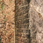 Споменик Стевану Димитријевићу на гробљу на потесу Слатина у Горобиљу (фото Бојан Радојичић)