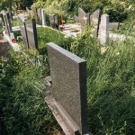 Споменик Новаку Ковачевићу на гробљу на потесу Слатина у Горобиљу (фото Бојан Радојичић)