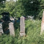 Споменик Стојадину Николићу на гробљу у Гугљу (фото Бојан Радојичић)