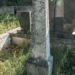 Споменик Миленку Николићу на гробљу у Гугљу (фото Бојан Радојичић)