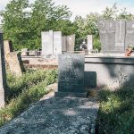 Споменик Луки Вучићевићу на гробљу у Гугљу (фото Бојан Радојичић)