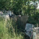 Споменик Радомиру Павловићу на гробљу у Гугљу (фото Бојан Радојичић)