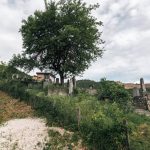 Гробље у Јелен Долу (фото Бојан Радојичић)