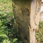 Споменик Тијосаву Перовићу на гробљу у Јелен Долу (фото Бојан Радојичић)