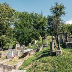 Гробље у Тучкову, Јелен До (фото Бојан Радојичић)