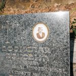 Споменик Војиславу Ђоковићу на гробљу у Тучкову, Јелен До (фото Бојан Радојичић)