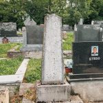 Споменик Мијаилу и Малиши Тешовићима на Лазовића гробљу у Дражиновићима, Јежевица (фото Бојан Радојичић)