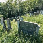 Гробље на потесу Барајевац у Каленићима (фото Бојан Радојичић)