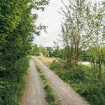 Гробље на потесу Виноградина у Каленићима (фото Бојан Радојичић)