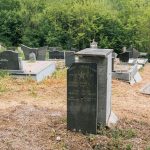 Гробље на потесу Виноградина у Каленићима (фото Бојан Радојичић)
