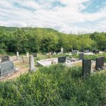 Гробље на потесу Виноградина у Каленићима (фото Бојан Радојичић)