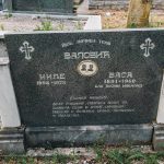 Споменик Васу Валовићу на гробљу на потесу Виноградина у Каленићима (фото Бојан Радојичић)