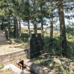 Споменик Светиславу Васовићу на гробљу на Бјелобору у Љутицама (фото Бојан Радојичић)