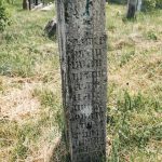 Споменик Нићивору Глишићу на Глишића гробљу у Љутицама (фото Бојан Радојичић)