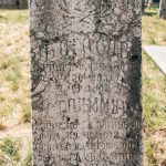 Споменик Станимиру Дивнићу на Глишића гробљу у Љутицама (фото Бојан Радојичић)