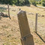 Споменик Божидару Пантовићу на гробљу у Љутицама (фото Бојан Радојичић)
