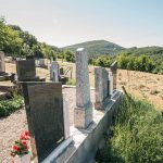 Споменик Љубомиру Танасковићу на гробљу у Љутицама (фото Бојан Радојичић)