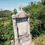 Споменик Недељку Павловићу на Јанковића гробљу у Љутицама (фото Бојан Радојичић)