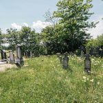 Пантовића гробљe у Љутицама (фото Бојан Радојичић)