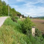 Крајпуташ Аксентију Бојићу у Лопашу (фото Бојан Радојичић)