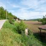 Крајпуташ Аксентију Бојићу у Лопашу (фото Бојан Радојичић)