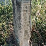 Споменик Марку Бојићу на гробљу у Лопашу (фото Бојан Радојичић)