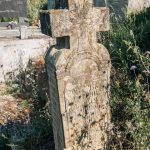 Споменик Марку Бојићу на гробљу у Лопашу (фото Бојан Радојичић)
