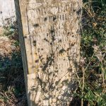 Споменик Марку Бојићу на гробљу у Лопашу (фото Бојан Радојичић)
