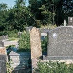 Споменик Михаилу Тодоровић Кустурићу на гробљу у Лопашу (фото Бојан Радојичић)