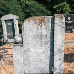 Споменик Бранисаву Божовићу на гробљу у Лопашу (фото Бојан Радојичић)