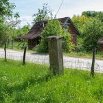 Крајпуташ Вучку Росићу на потесу Муњнско брдо у Лопашу (фото Бојан Радојичић)