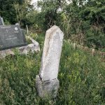 Споменик Живку Ненадовићу на гробљу на потесу Брезак у Лорету (фото Бојан Радојичић)