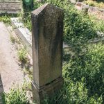 Споменик Миленку Николићу на гробљу на потесу Брезак у Лорету (фото Бојан Радојичић)