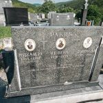 Споменик Михаилу Ракићу на гробљу на потесу Брезак у Лорету (фото Бојан Радојичић)