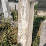Споменик Витомиру Ракићу на гробљу на потесу Брезак у Лорету (фото Бојан Радојичић)