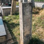 Споменик Видосаву Стоковићу на гробљу на потесу Брезак у Лорету (фото Бојан Радојичић)