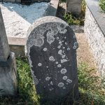 Споменик Милијану Стоковићу на гробљу на потесу Брезак у Лорету (фото Бојан Радојичић)