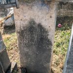Споменик Стевану Стоковићу на гробљу на потесу Брезак у Лорету (фото Бојан Радојичић)