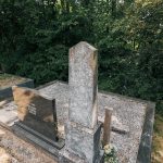 Споменик Алексију Симовићу на гробљу на потесу Спасојевина у Милићевом Селу (фото Бојан Радојичић)