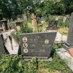 Споменик Михаилу Зарићу на гробљу на потесу Спасојевина у Милићевом Селу (фото Бојан Радојичић)
