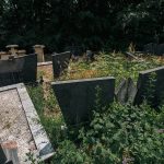 Споменик Михаилу Зарићу на гробљу на потесу Спасојевина у Милићевом Селу (фото Бојан Радојичић)